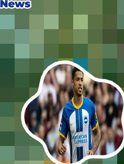 Brighton fc transfer news