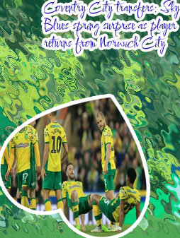 Norwich city transfers