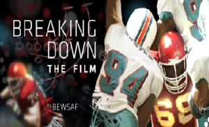 BewsafFilmBreakdown BewsafFilmBreakdown
